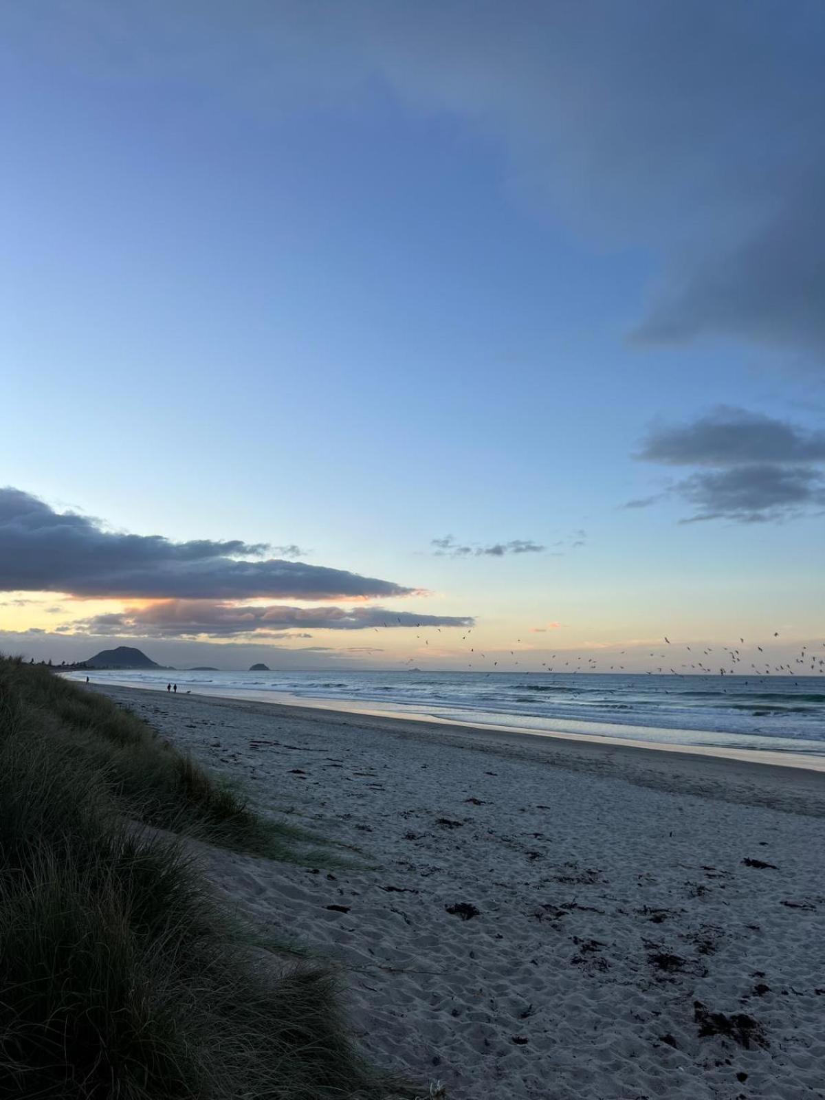 Papamoa Beach, Pohutukawa Deluxe Studio, On Hugoway Exterior photo